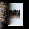 [USED] Anselm Kiefer/Collected Works of Anselm Kiefer.