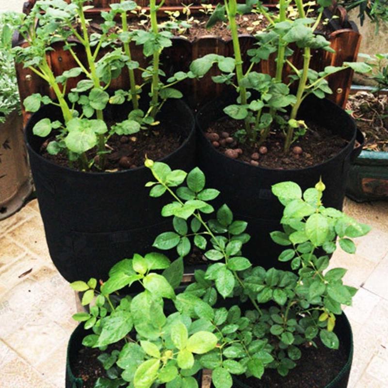 Visible Strawberry Sweet Potato Grow Bags Thickened Nonwoven Fabric Pots 4/7/10 Gallon Pot for Garden Planting Bags