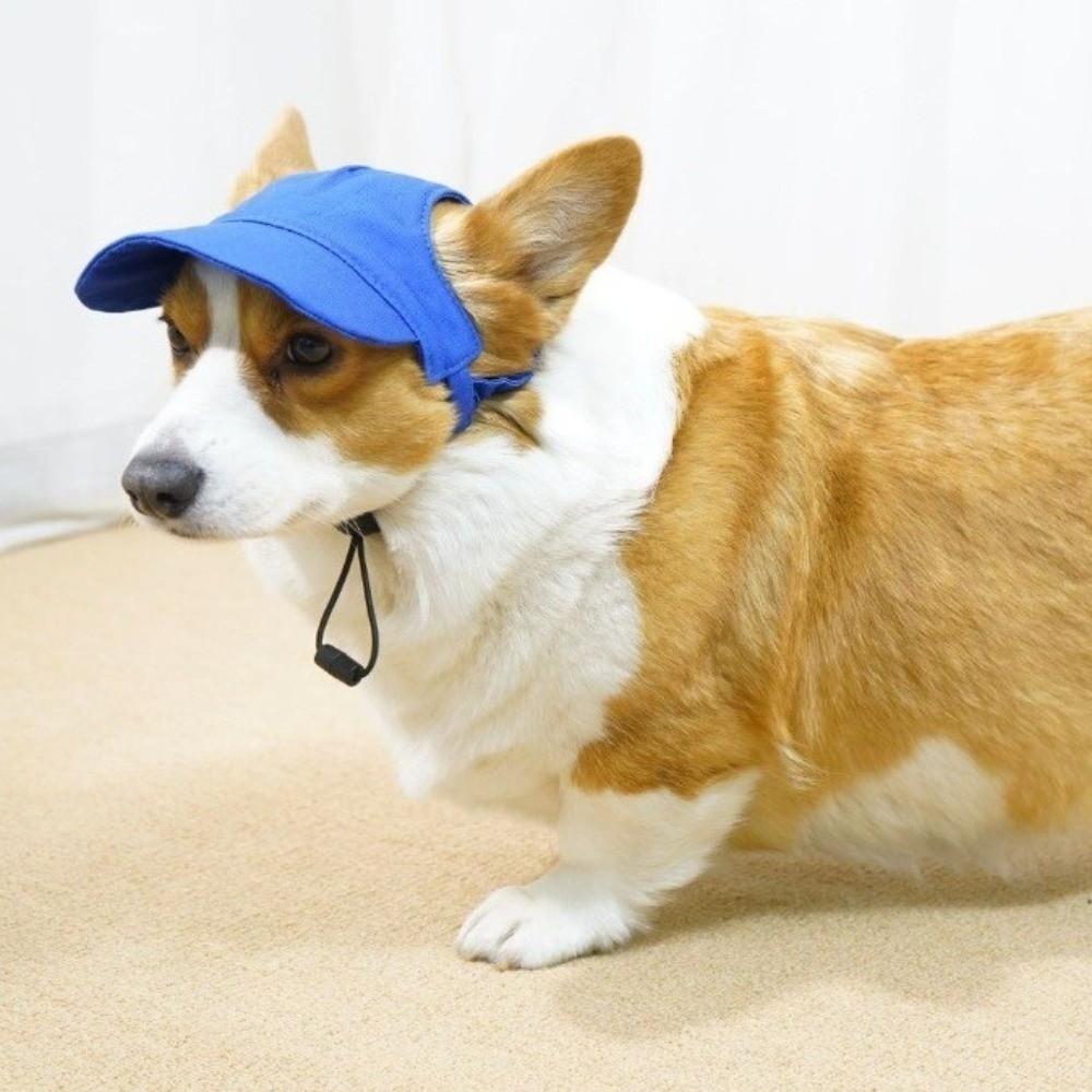 Sun Protection Dog Sun Hat with Ear Holes Pet Visor Hat Handsome Summer Cat Cap  Outdoor Sports