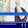 Model Uman pentru Practică de Acupunctură cu Puncte de Acupunctură și Meridiane Punct Model Masculin de Acupunctură Model Feminin de Acupunctură