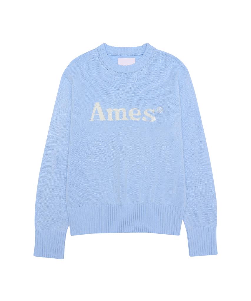 AMES-WORLDWIDE Basic Pullover Knit Light Blue