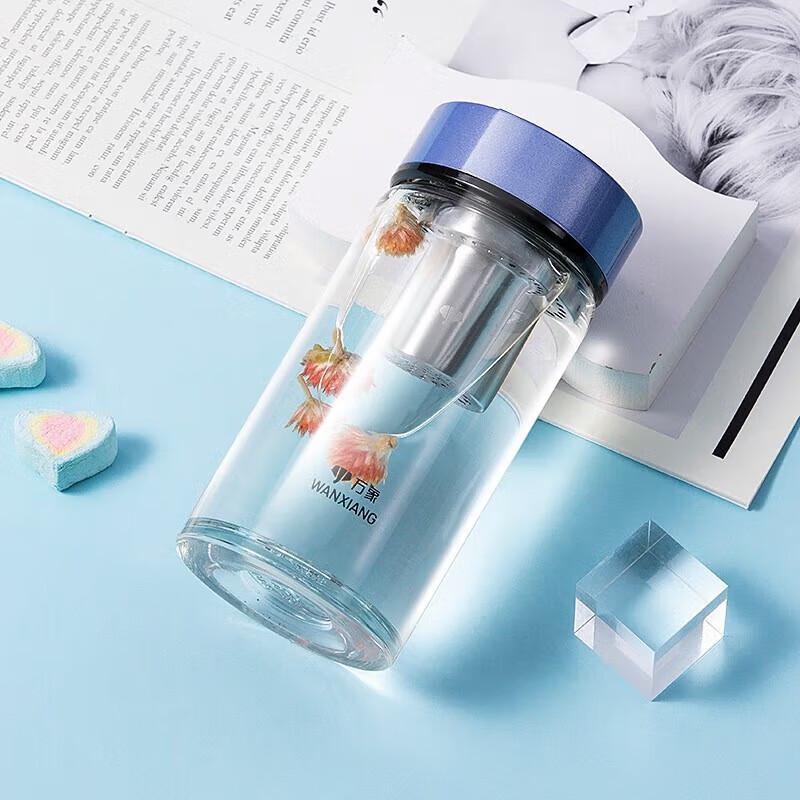 Vientiane Portable Glass Tea Infuser Bottle