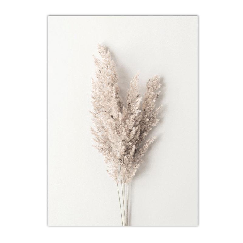 Béžový Bunny Tail Grass Nástěnné plakáty Přírodní pampy Reed Obraz na plátně Květinový umělecký plakát Malba Severské nástěnné obrazy Home Decor