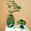 Nordic Modern Danish Transparent Glass Vase for Minimalist Living Room – Creative Hydroponic Ornament for Flower Arrangements.