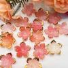24mm Gradient Five-Petal Acrylic Flower for DIY Crafting