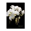 Luxury Plants White Flowers Wall Art Painting Picture Golden Art Canvas Poster Prints Nordic Flowers Art for Living Room Decor