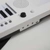 Keyboard Piano Instrument Toy with microphone, Digital for Gifts Beginner Show