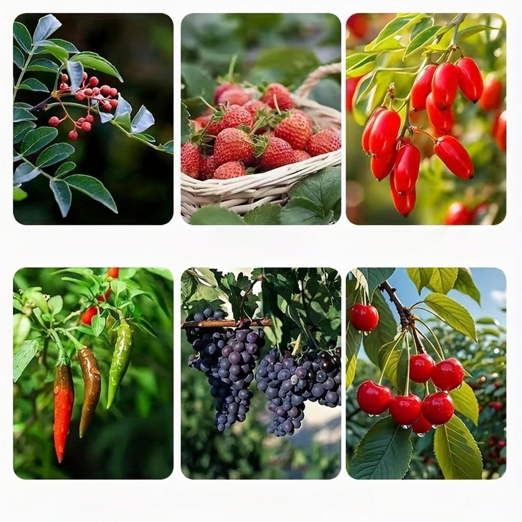 Herramienta de Poda para Cosecha de Flores y Frutas con Mango Ergonómico y Hoja de Corte de Precisión Adecuada para Recolectar Uva, Azufaifa y Pimienta