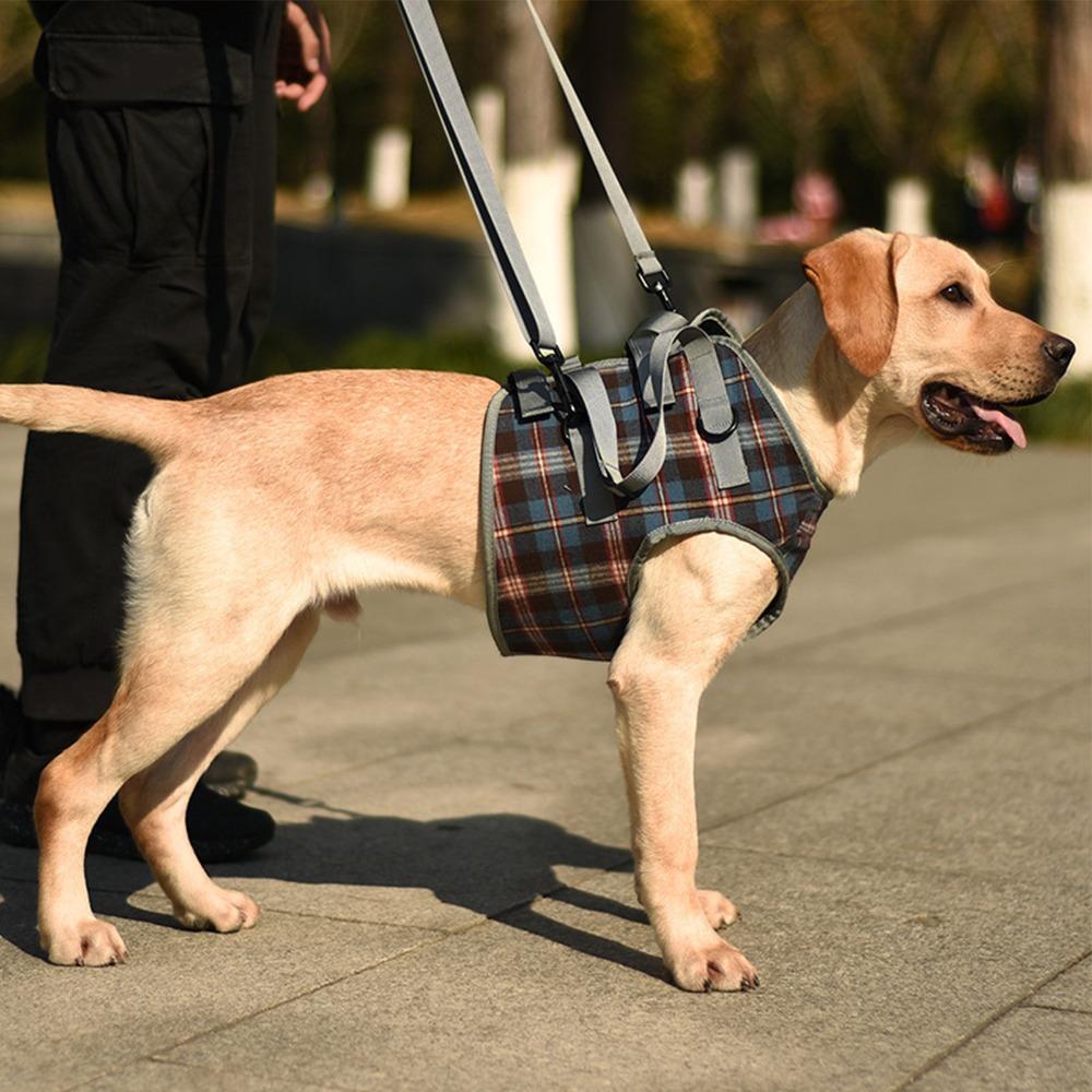 Soft Fabric Dog Leg Support Harness Multi Sizes Disabled Dog Mobility Strap Arthritic Old Dog Walk