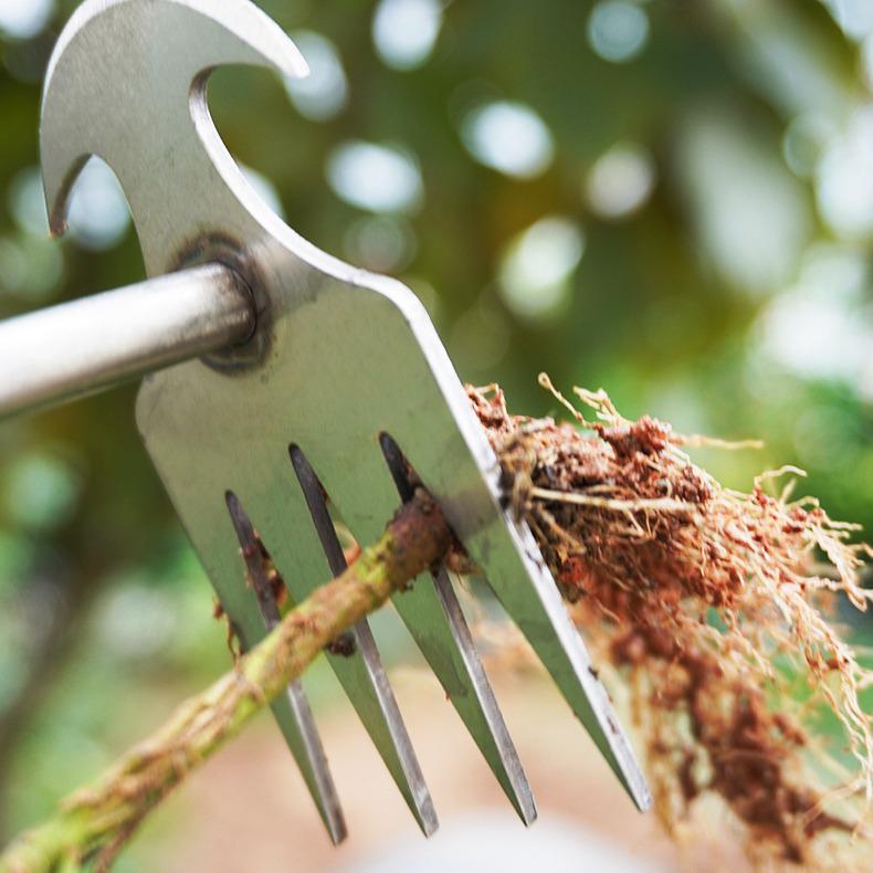 Manganese Steel Weeding Tool: Root Removal, Soil Loosening, Multifunctional Shovel for Gardening and Planting.