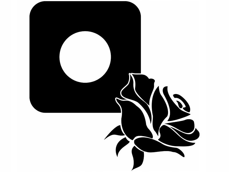 Protective Sticker for the Switch - Roses
