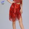 Latin Dance Fringe Skirt Tassel Hip Scarf Women Sexy Stage Dancewear Weddings Events