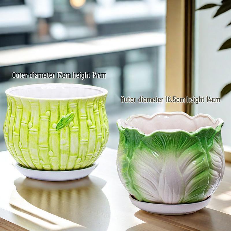 Simple Creative Ceramic Hanging Flower Pot with Tray - Large/Extra Large for Succulents and Green Pothos