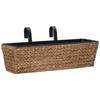 VidaXL Jardinières 2 pcs Jacinthe d'eau