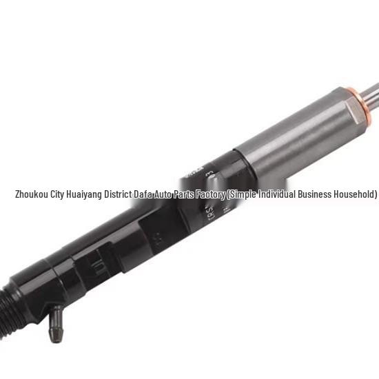 Delphi EJBR02701Z Injector: Compatible with Renault Delphi Common Rail Systems.