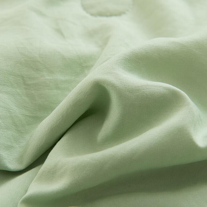 Fangen Natural Mugwort Mosquito Repellent All-Season Quilt