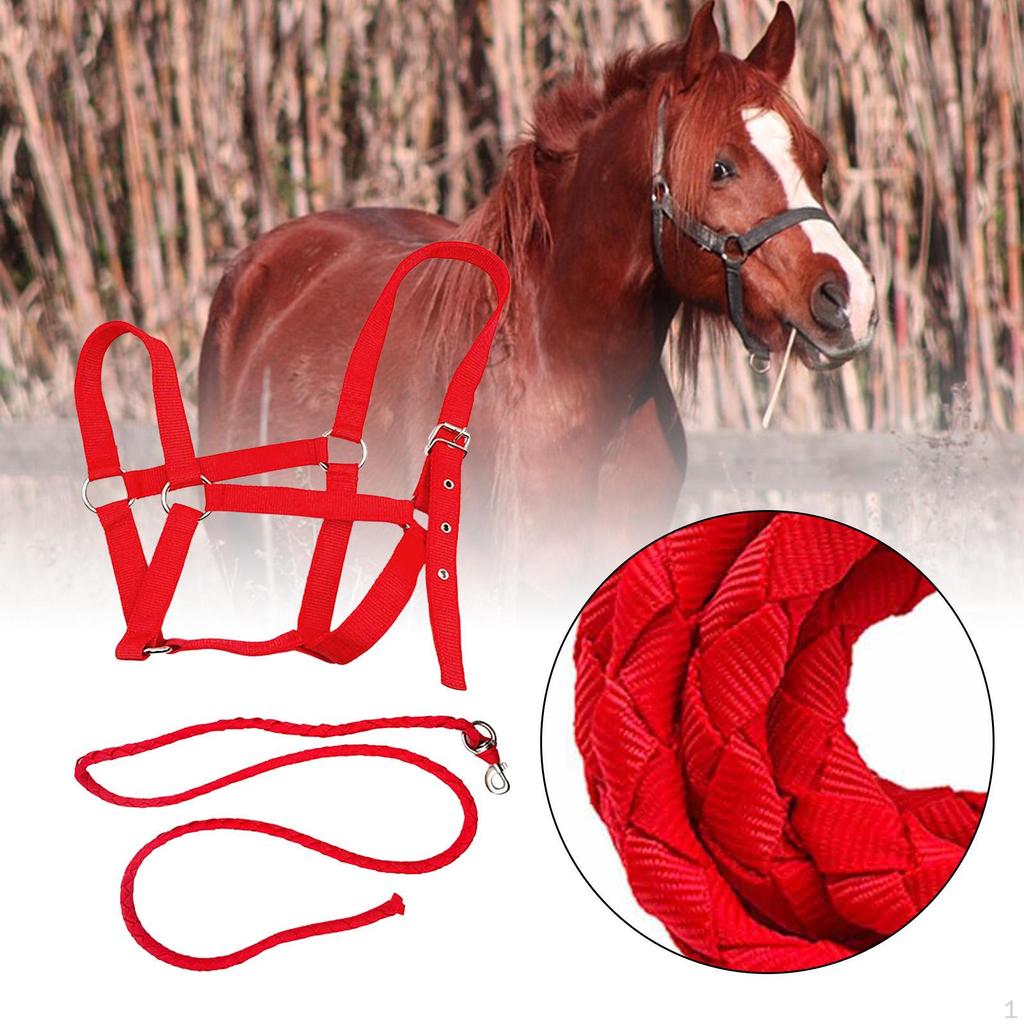Halter Rope with Reins, Horse Harness, Bridle, Equestrian Equipment for Owners And Racetrack