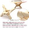 GOLD STONE white sage set pearl shell crystal chips wooden stand 4pcs beginner kit aroma incense california grown sage organic herb
