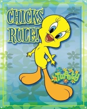

Bird Chicks Rule Cartoon Tin Sign Animealuminum 20x30cm（7.8x11.8inch）