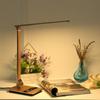 Tomshine Foldable Dimmable Touch Sensitive Control LED Desk Lamp 8.5W 500LM 3 Color Temperature 3000K 4500K 6000K Stepless   Brightness Eye-C