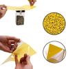 Double-Sided Yellow & Blue Sticky Trap for Flying Insects and Thrips In Horticulture