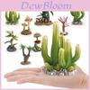 Realistic Plant Model Collection With Pvc Material For Home Decor And Terrarium Design
