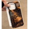 Autumn Amber Feather Case for iPhone 13/12 Pro/11 Plus/15 - Minimalist Design