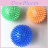 Popular Tpr Dog Toy Ball With Squeaky Sound Perfect For Small Dogs