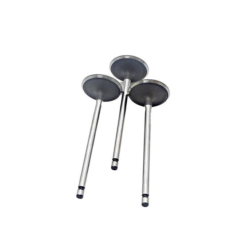 Suitable for Toyota Land Cruiser Prado(2TR 2.7L) 2004-2015 Intake Valve