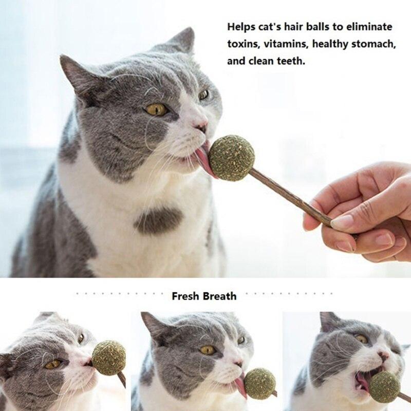 catnip candy