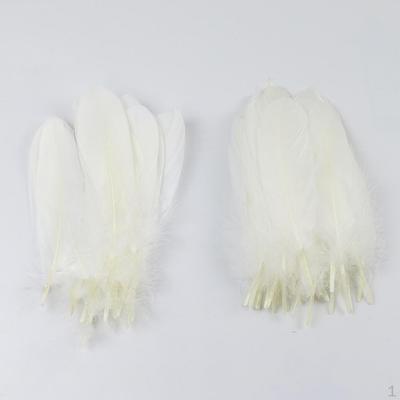 50 Natural Feather for Stage