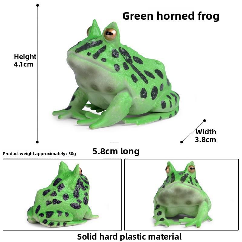 Animal Childrens Frog Plastic Model Toy For Educational Play Gift Collectors