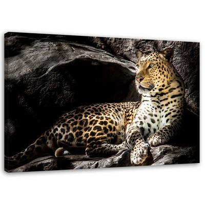 Canvas Print Leopard Animals Rocks