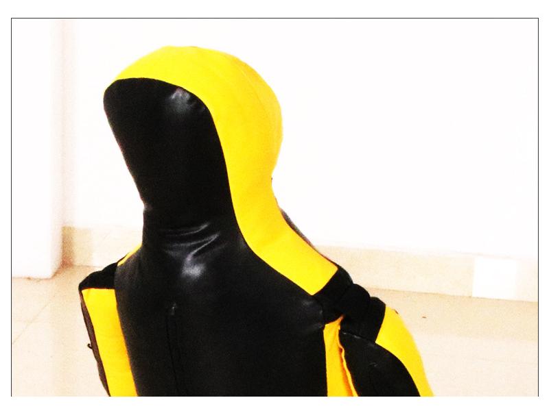 Brazil UFC BJJ Judo Wrestling Leather Sparring Dummy for Lock/Choke Techniques and Sanda Training