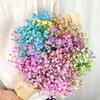 Baby's Breath Dried Flower Bouquet for Living Room Decor - Real Fresh Cut Flowers, Perfect for Gifting and Decorative Ornaments.