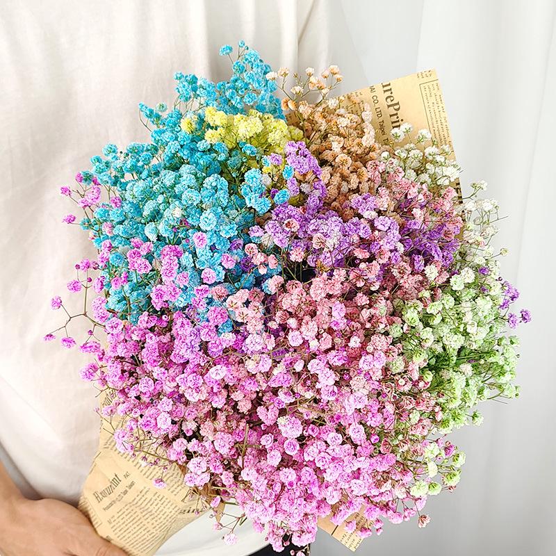 Baby's Breath Dried Flower Bouquet for Living Room Decor - Real Fresh Cut Flowers, Perfect for Gifting and Decorative Ornaments.