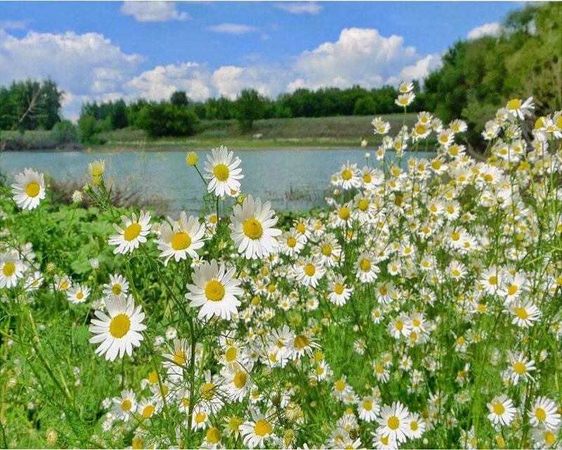 5d Diamond Painting Flower Tree Landscape Spring Diamond Embroidery Sale Rabbit Cartoon Pictures of Rhinestones Mosaic Handmade Gift