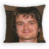 Joe Keery Djo Pillow Case Sofa Living Room Bedroom Headboard Backrest Cushion Square Cushion Nap Time