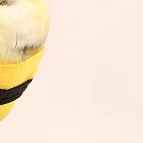 1pc Bird Winter Clothes Parrot Bee Costume Pet Small Animals Clothes Bee Hoodie Soft Skin Friendly Pet Bird Suit For Parrots