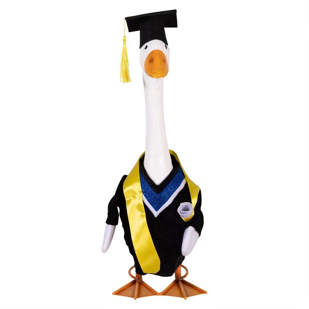 Graduation Goose Outfit with Cartoon Doctor Hat and Party Decorations