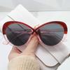 JYL TS Cat Eye Sunglasses Two Tone Style For Men Women B5516A