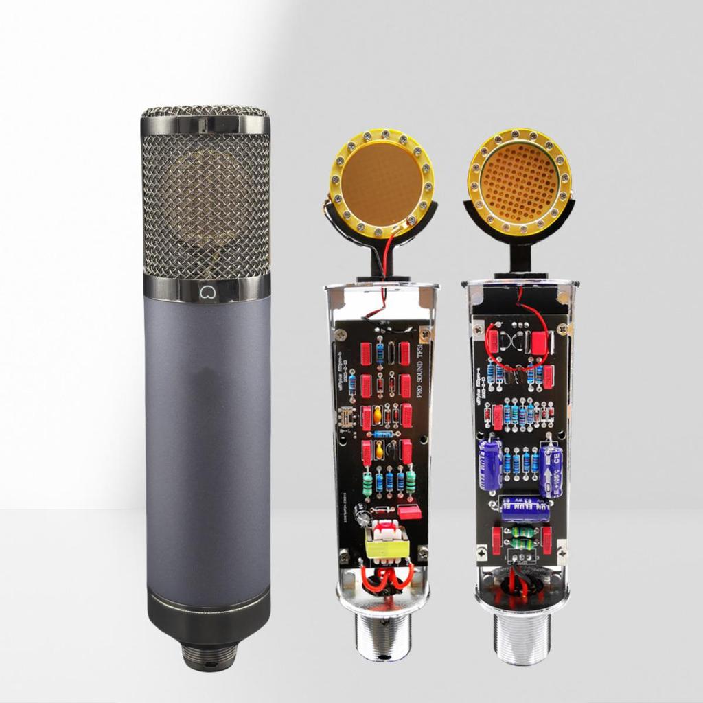 TF22CA Large Diaphragm Condenser Microphone with Sound Card for Live Broadcast and Recording