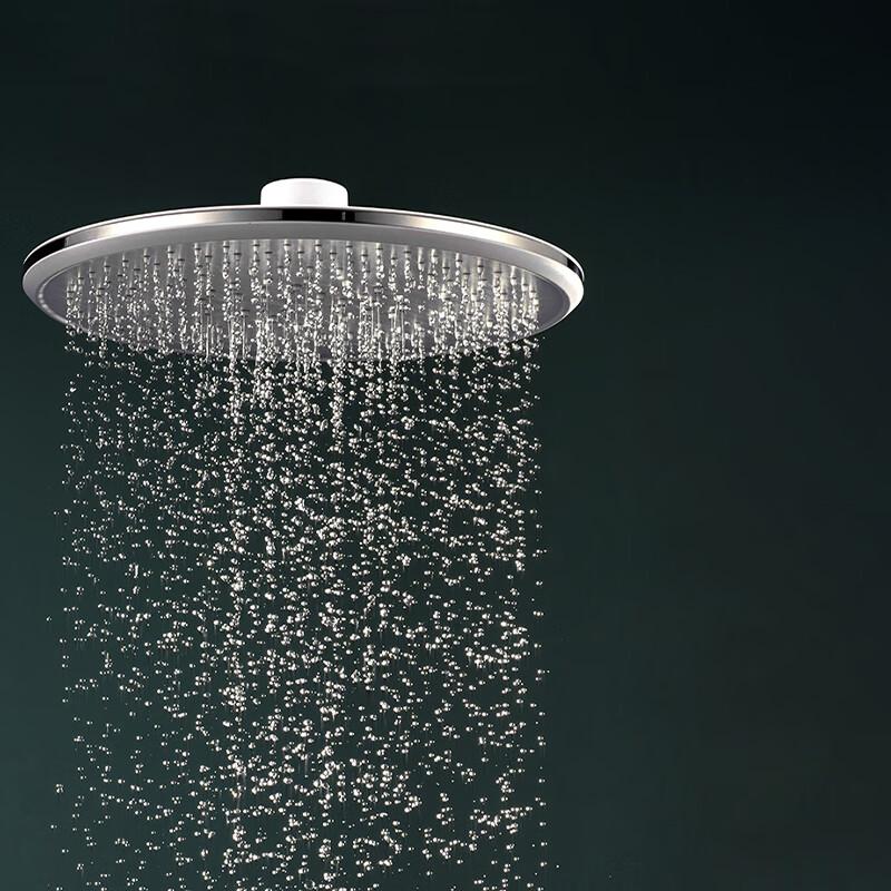 Jomoo G177011-1X01-2 ABS Shower Head