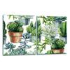 2x GLASS PROTECTIVE PLATE FOR STOVE 40x52 CACTUS