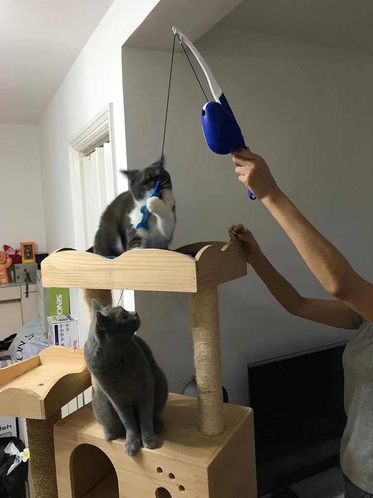 L'chic Cat Fishing Toy