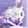 O'Bays Lavender Fresh & Refreshing Shower Gel