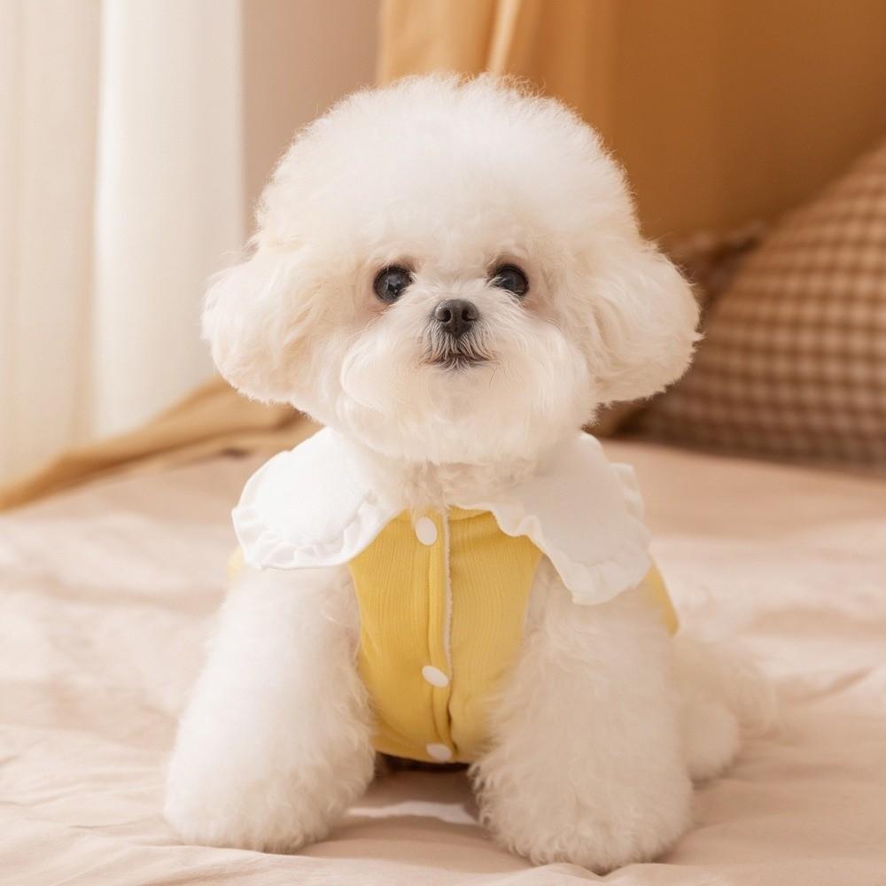 Tail-shaped Dog Rabbit Collar Vest Cartoon Winter Down Jacket Cute Dog Warm Coat  Autumn Winter