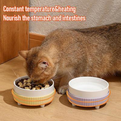 Heated Pet Water Bowl Quiet Thermal Pet Water Dish USB Powered Heated Water Bowl Winter Drinking Device for Indoor Dogs Cats And Small Animals