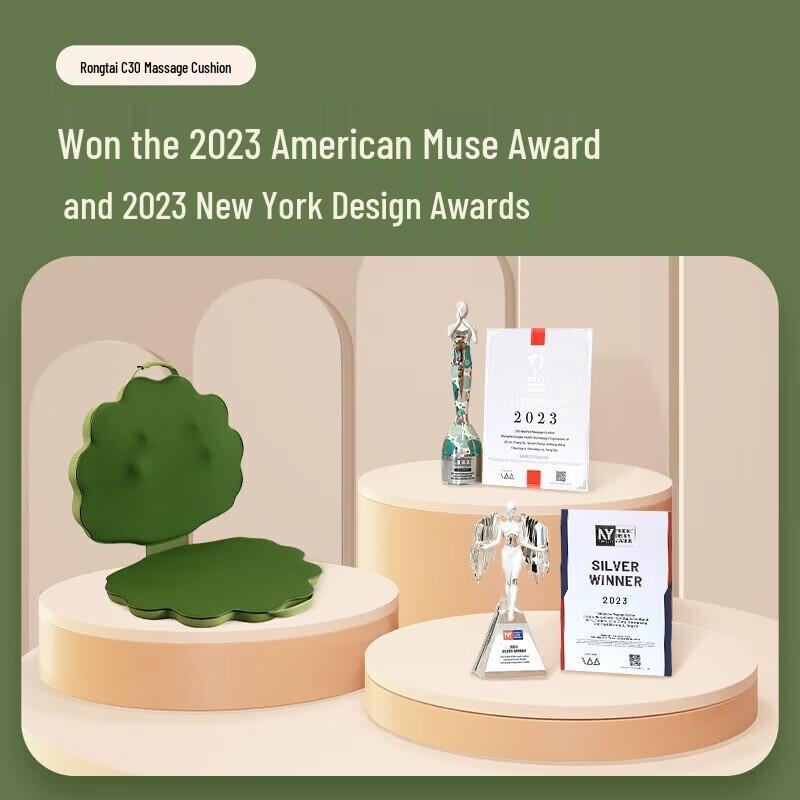 RONGTAI C30 Neck and Back Massage Cushion CN plug (adapter included)