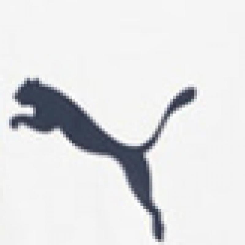 Puma Galleria Puma Mens Handball Round Summer ShorT Sleeve T shirT 65852407